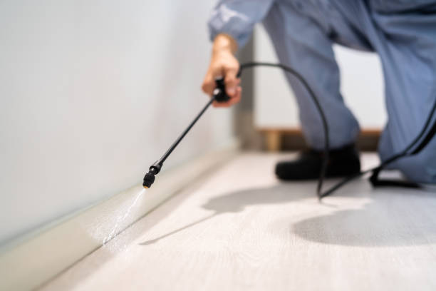 Professional exterminator conducting IPM assessment in Dalton
