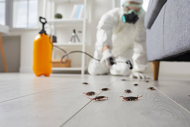 Commercial Kitchen Cockroach Control in Dalton